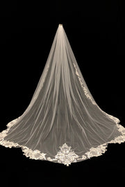 Extra Long Mesh and Lace Bridal Veil
