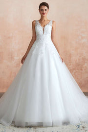 Glamorous Lace A-Line V-Neck Wedding Dress with Sheer Back