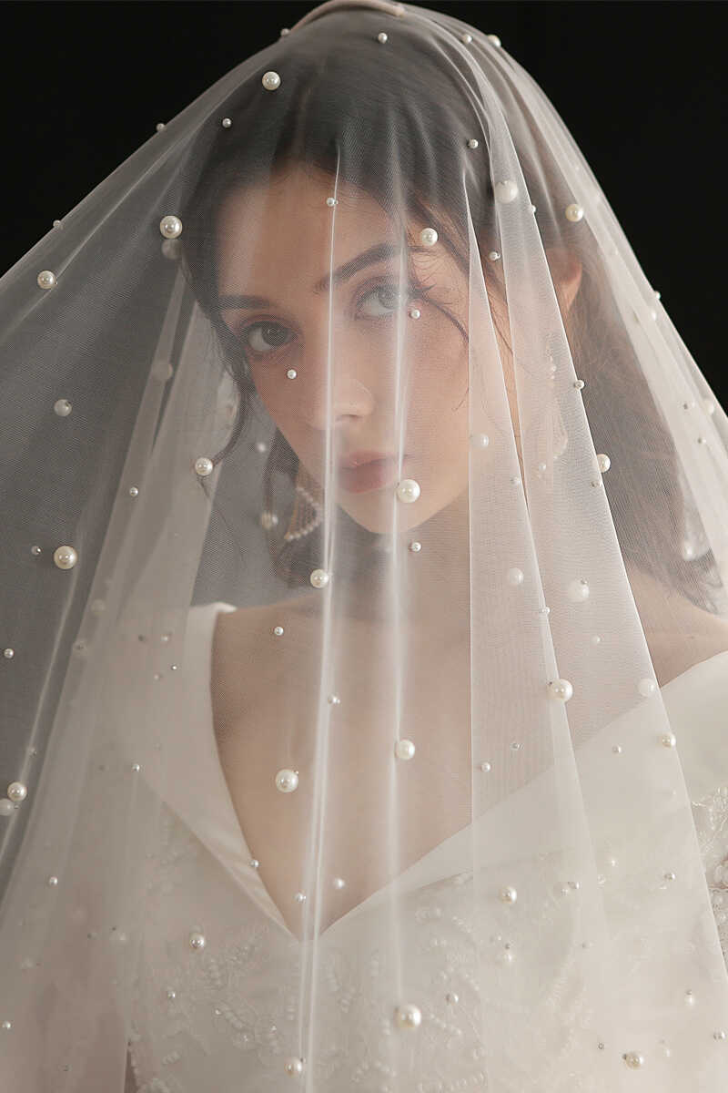 White Mesh and Lace Pearl Bridal Veil